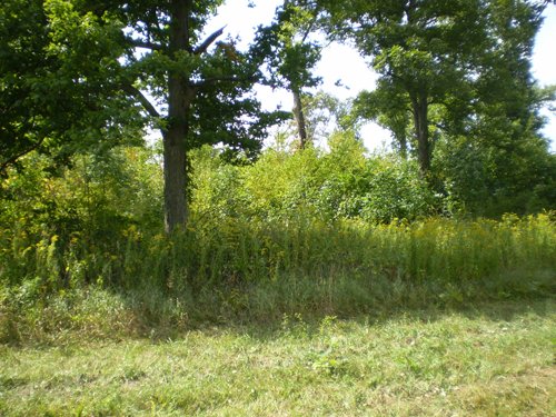 Property photo 18 - 40 Acres in 4 Tracts - Great Location!